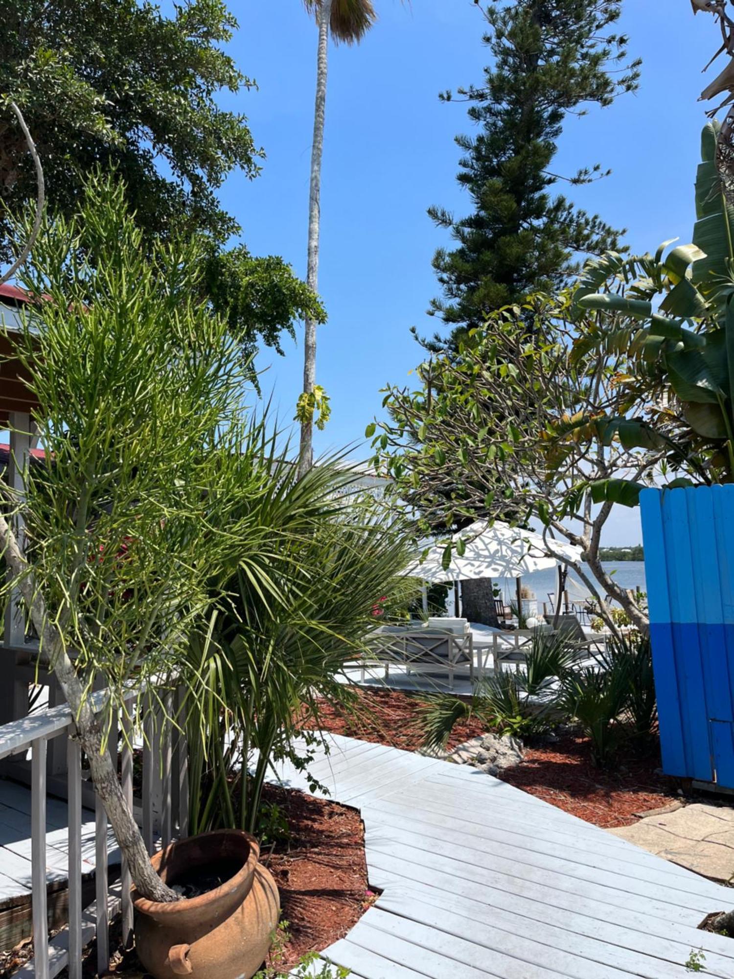 Turtle Beach Resort Siesta Key Eksteriør bilde