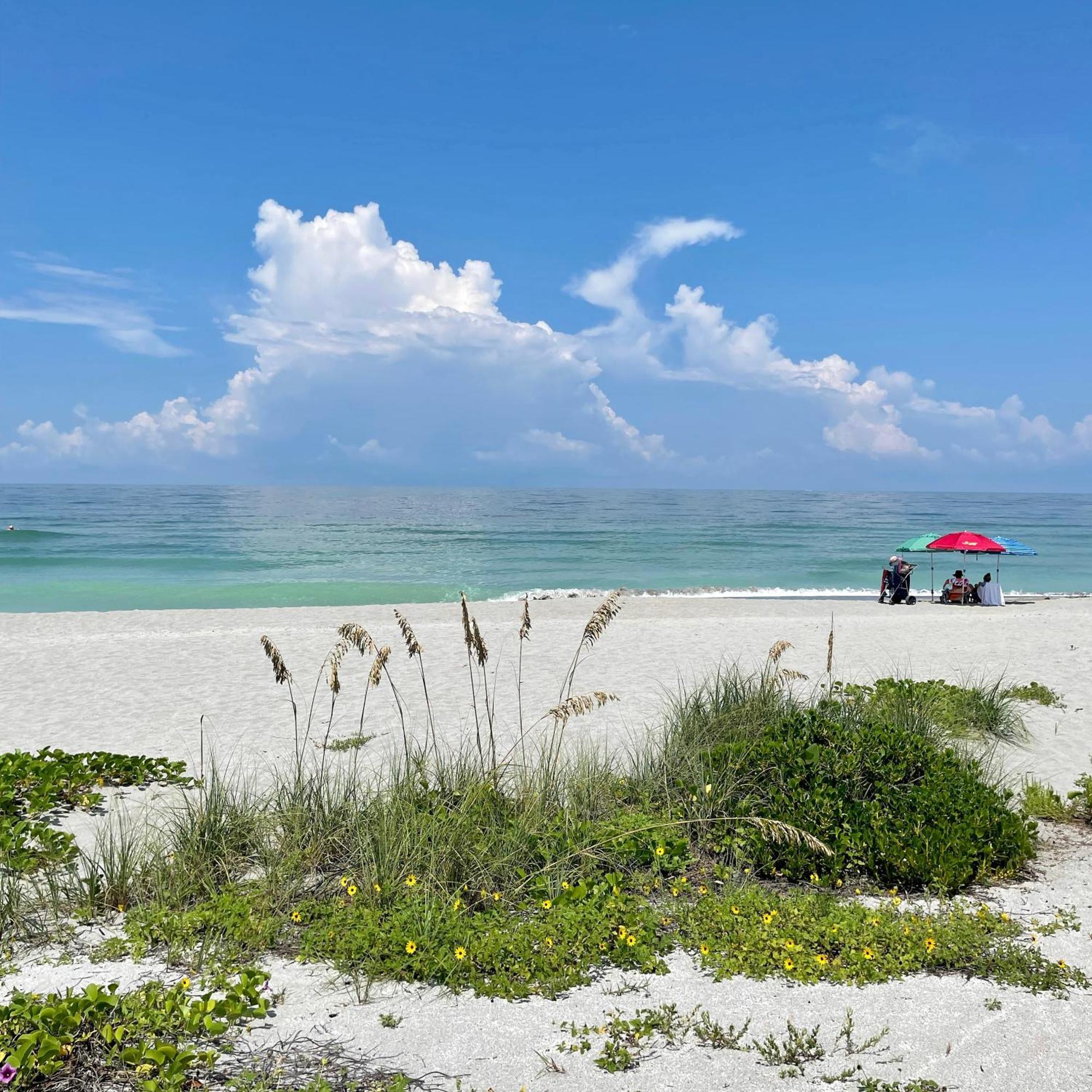 Turtle Beach Resort Siesta Key Eksteriør bilde