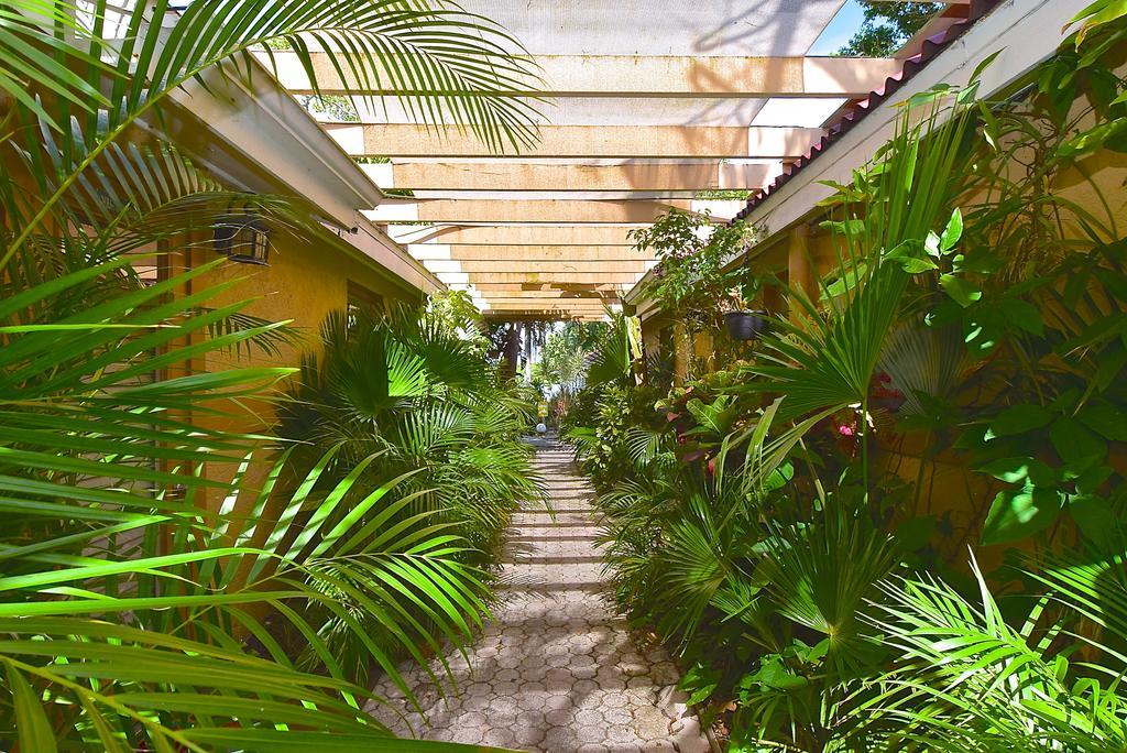 Turtle Beach Resort Siesta Key Eksteriør bilde